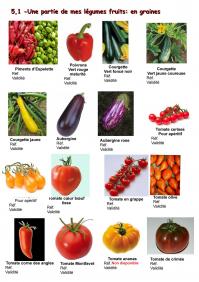 5 1 legumes fruits copie