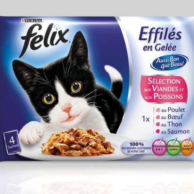 La fête des chats St Félix 12 février