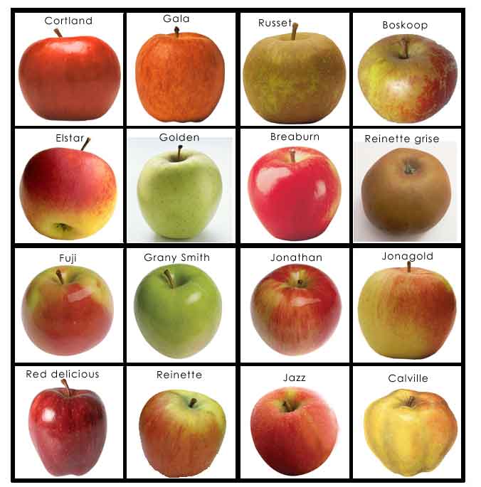 Catégories de pommes