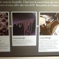 Macération du mou (préparation du vin)
