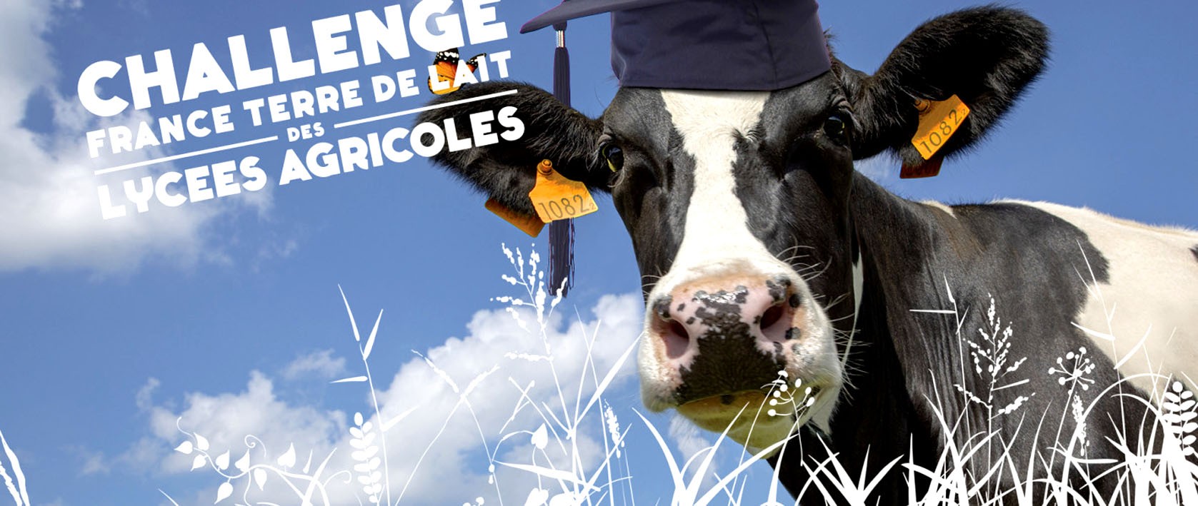 Challenge France terre de lait