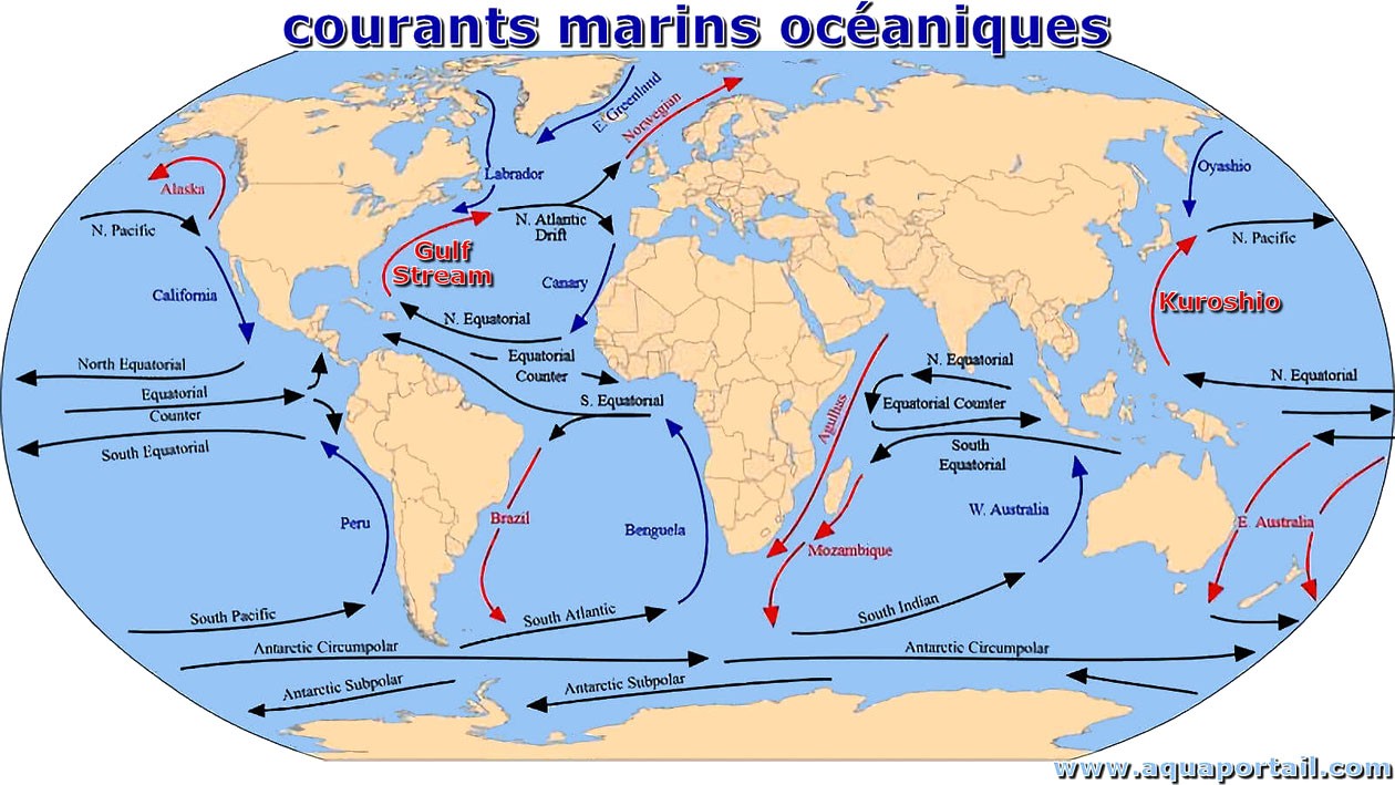 Courants marins océaniques