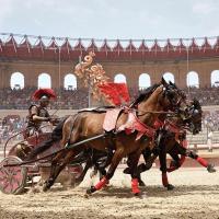 Course de chars