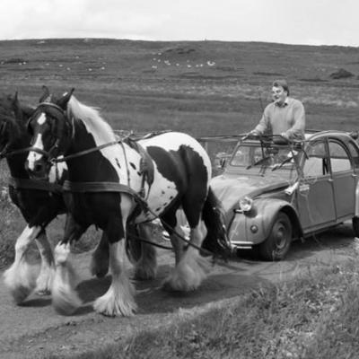 Après les chevaux, la 2 chevaux