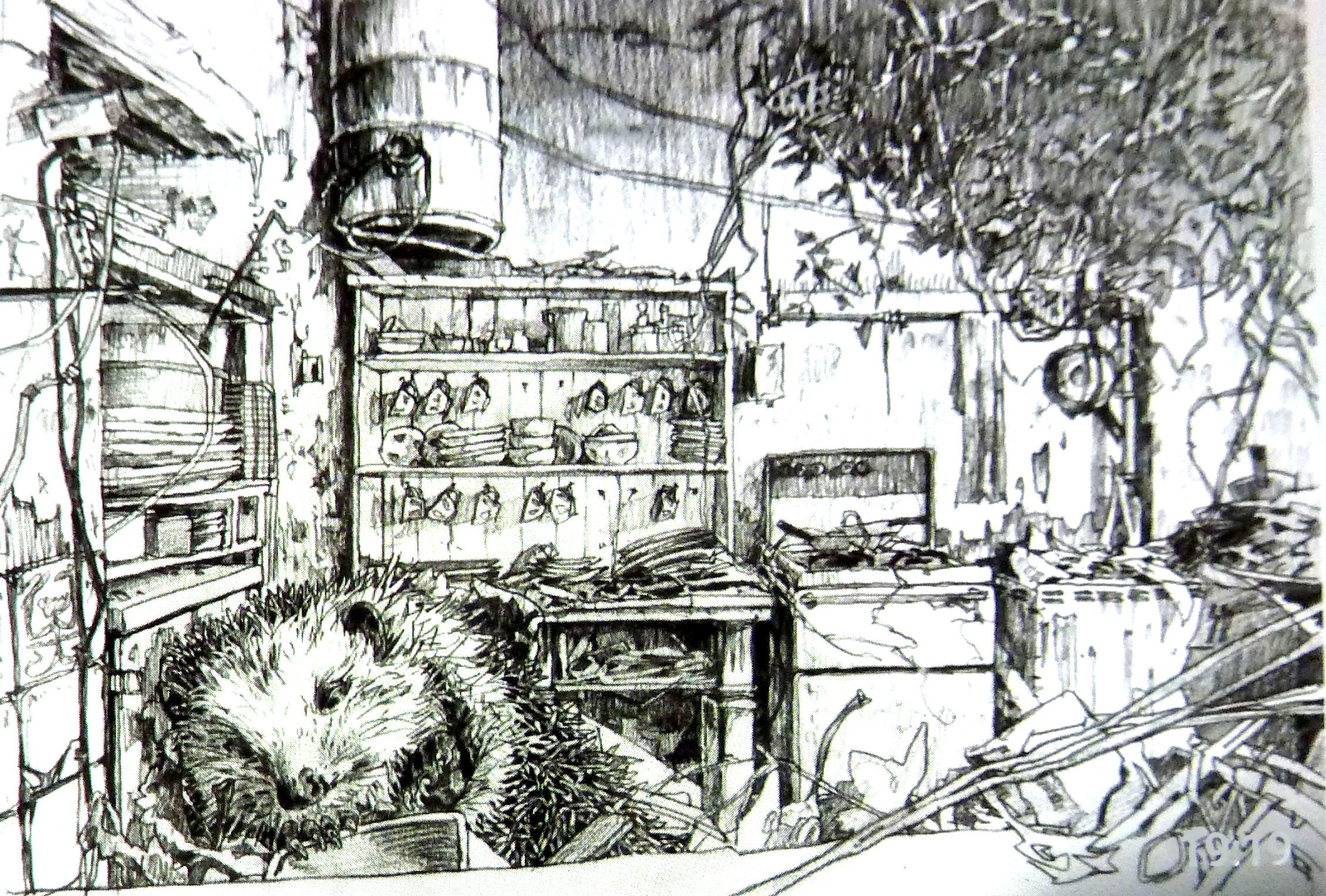 Hérisson dans ma maison