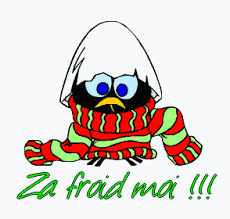 Za froid moi !!!