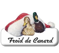 Froid de canard