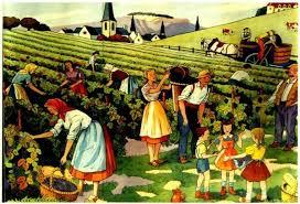 Les vendanges