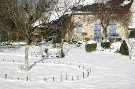 Les arbres sous la neige