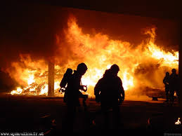 Foret en feu la nuit