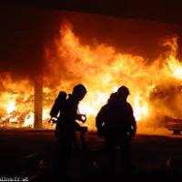 Foret en feu la nuit