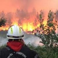 Foret en feu
