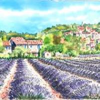 Paysage provençal