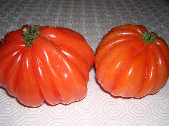 Tomates coeur de boeuf striées