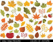 Tapis de feuilles