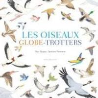 Migration des oiseaux