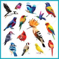 Migration des oiseaux