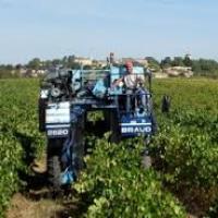 La machine à vendanger