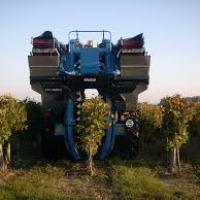 Machine à vendanger