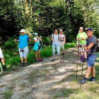 La marche en forest