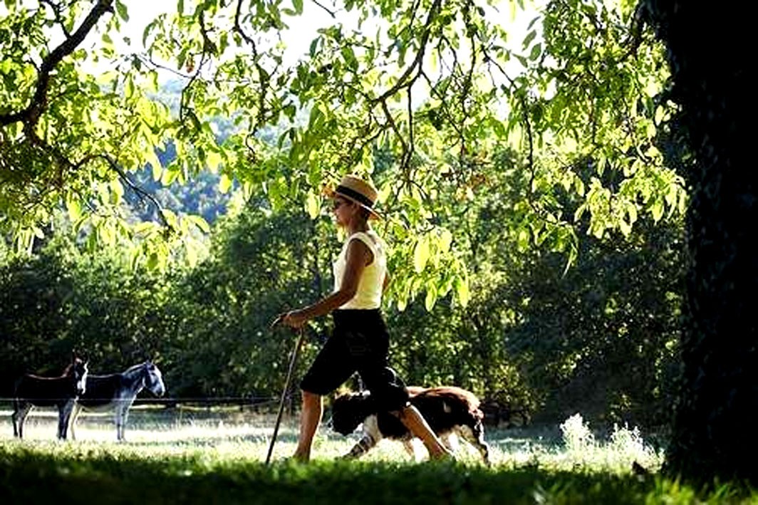 Marche avec un chien