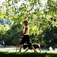 Marche avec un chien