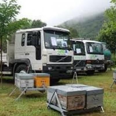 Les types de transhumance
