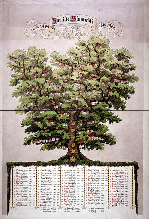 L'arbre de la généalogie