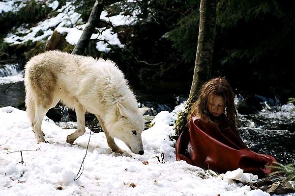 Survivre avec les loups