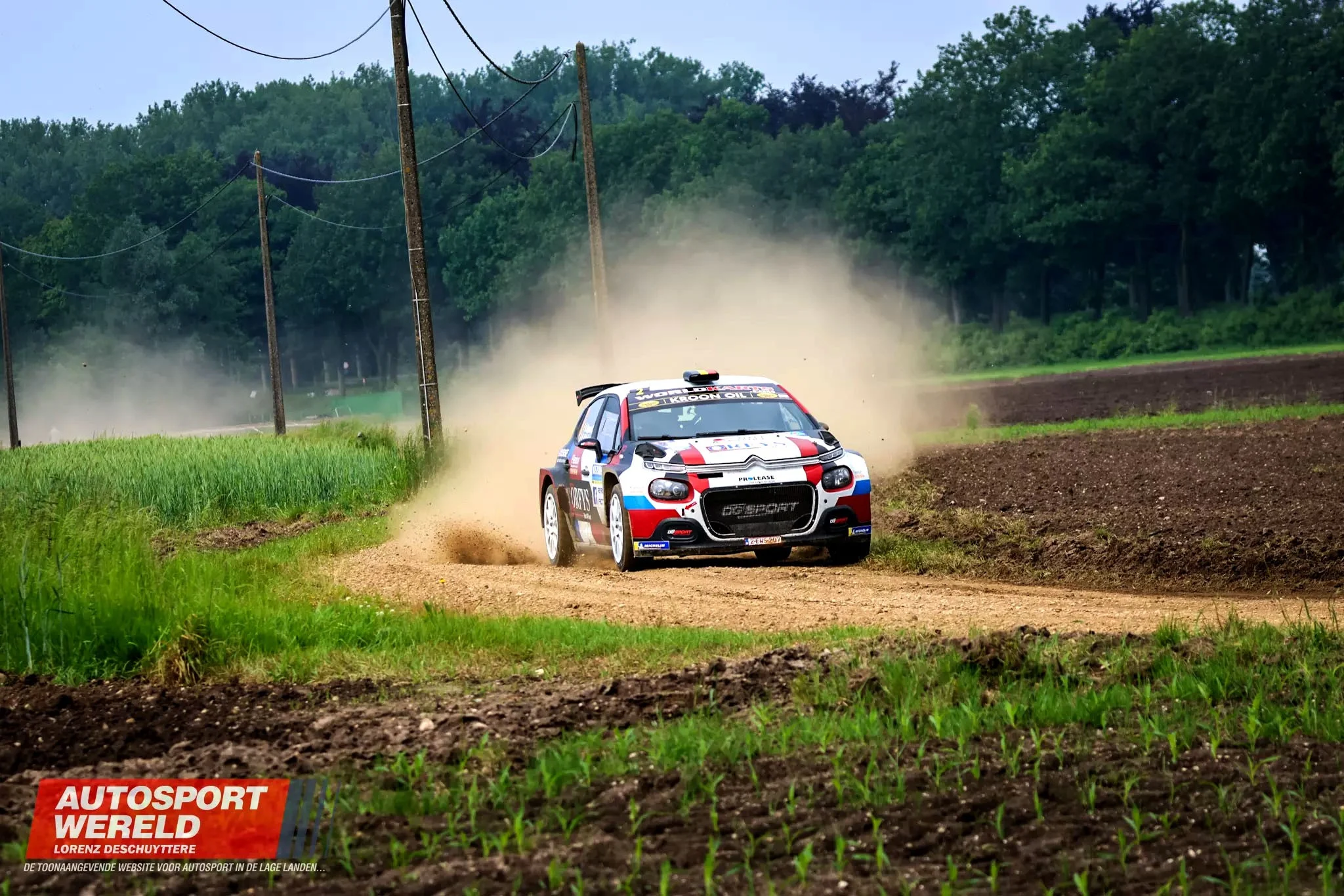 Voiture dans un champ