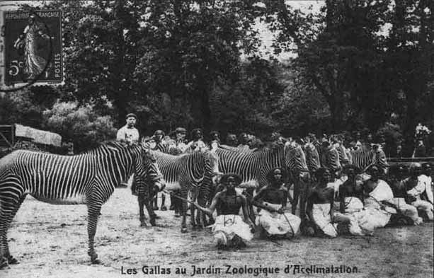 zoos-humains-1877-les-gallas[1]