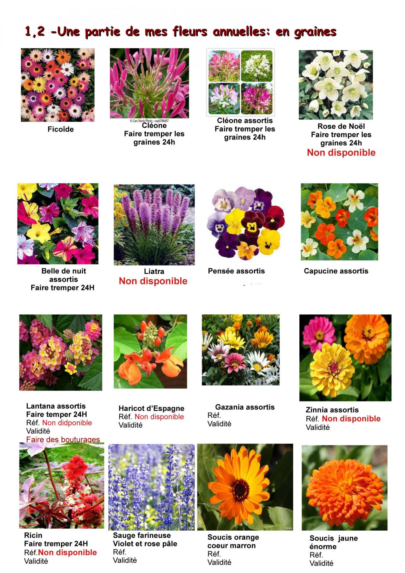 Images listes de fleurs et légumes 