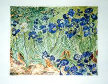 18 tableau iris