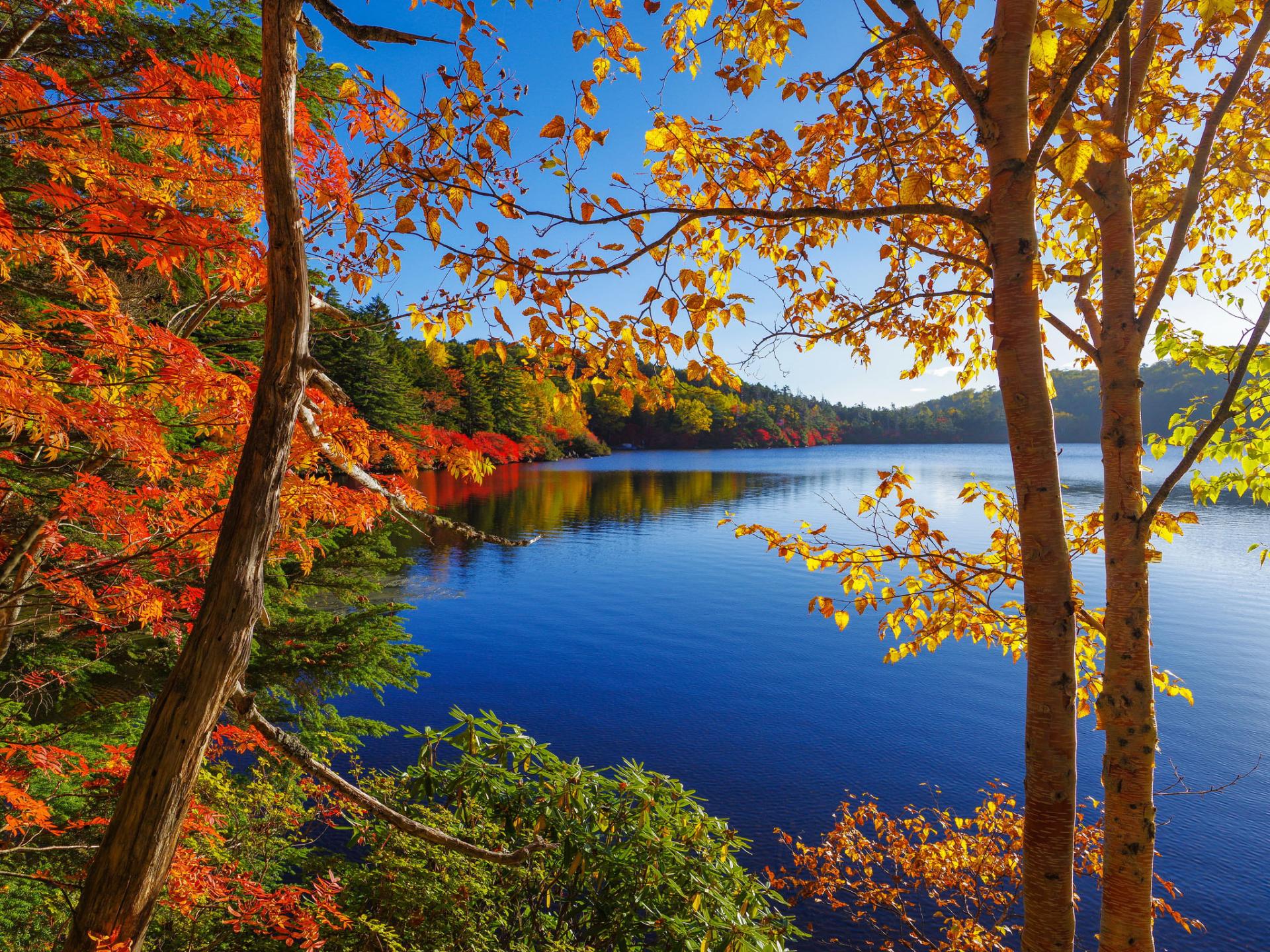 Automne
