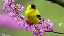 Images 6 3