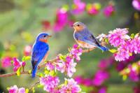 Images 9 2