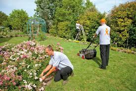 Nettoyage au jardin