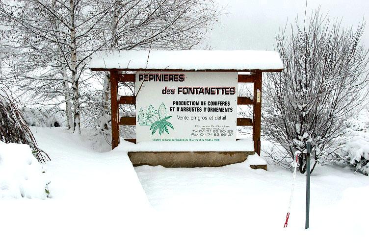 Pepinieres des fontanettes violay