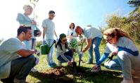 Plantation d un arbre 2