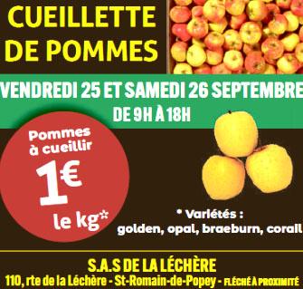 Pommes 1