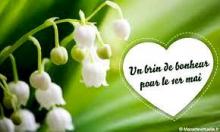 Un brin de bonheur